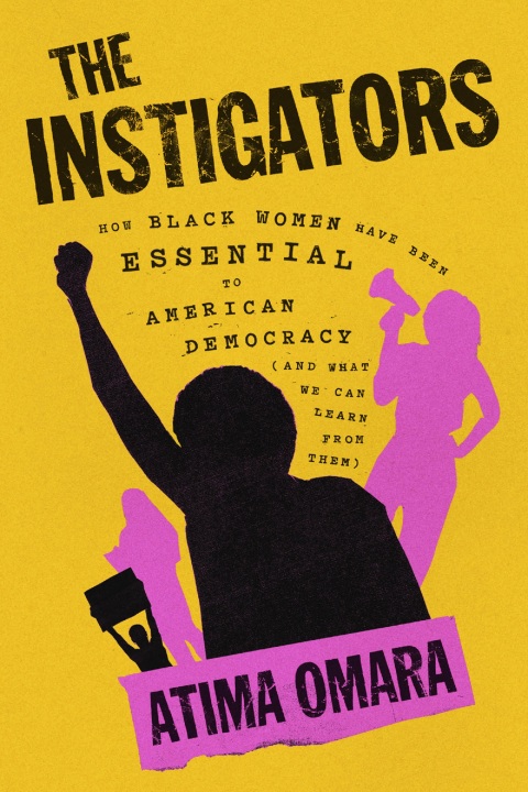 Cover image for book The Instigators