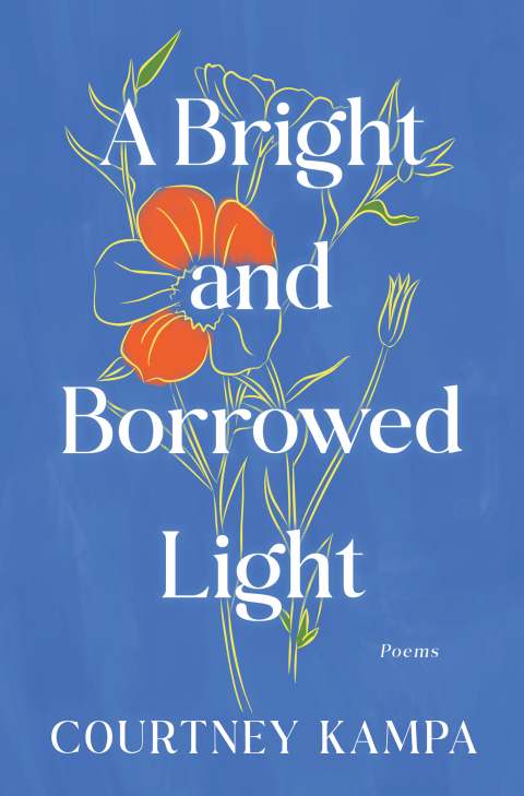 Cover image for book A Bright and Borrowed Light