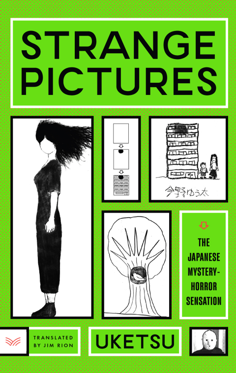 Cover image for book Strange Pictures