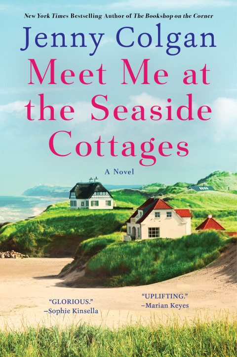 Cover image for book Meet Me at the Seaside Cottages