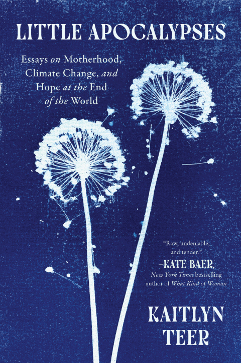 Cover image for book Little Apocalypses