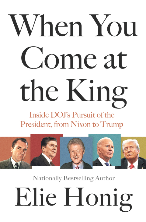 Cover image for book When You Come at the King