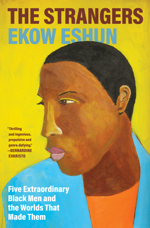 Cover image for book The Strangers