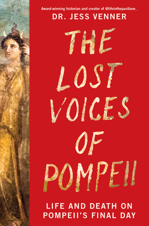 Cover image for book The Lost Voices of Pompeii