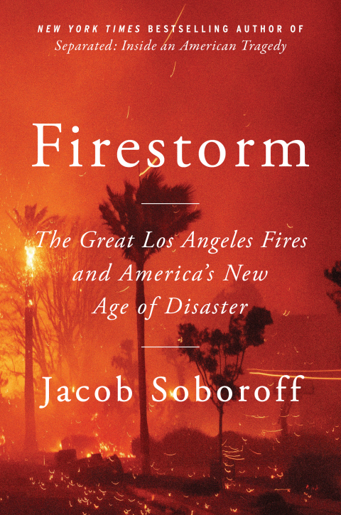 Cover image for book Firestorm