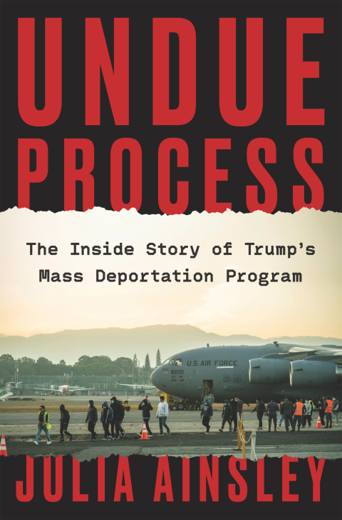 Cover image for book Undue Process