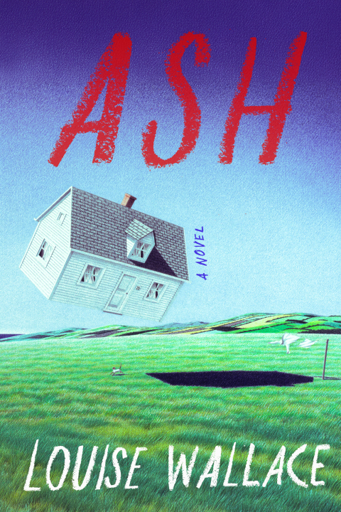 Cover image for book Ash