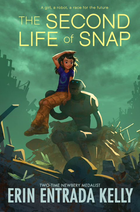 Cover image for book The Second Life of Snap