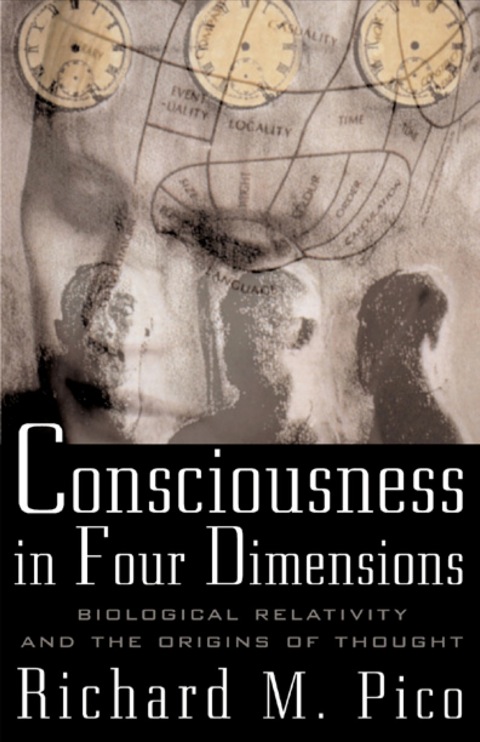 Cover image for book Consciousness In Four Dimensions