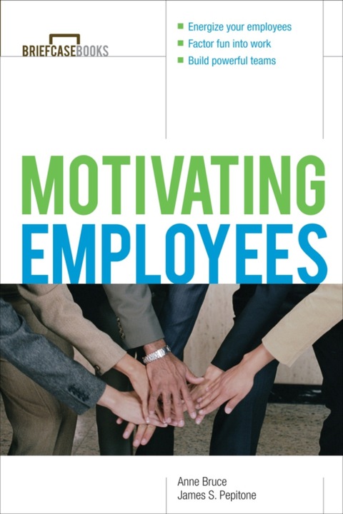 Cover image for book Motivating Employees