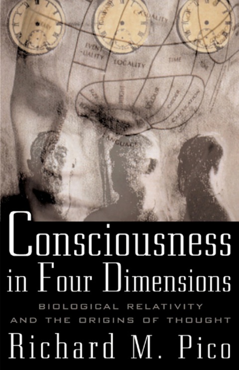 Cover image for book Consciousness In Four Dimensions: Biological Relativity and the Origins of Thought
