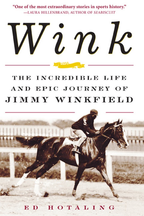 Cover image for book Wink