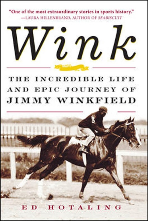 Cover image for book Wink