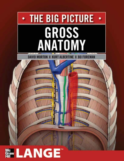 Cover image for book Gross Anatomy: The Big Picture