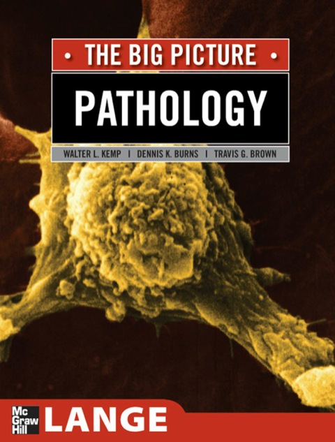 Cover image for book Pathology: The Big Picture