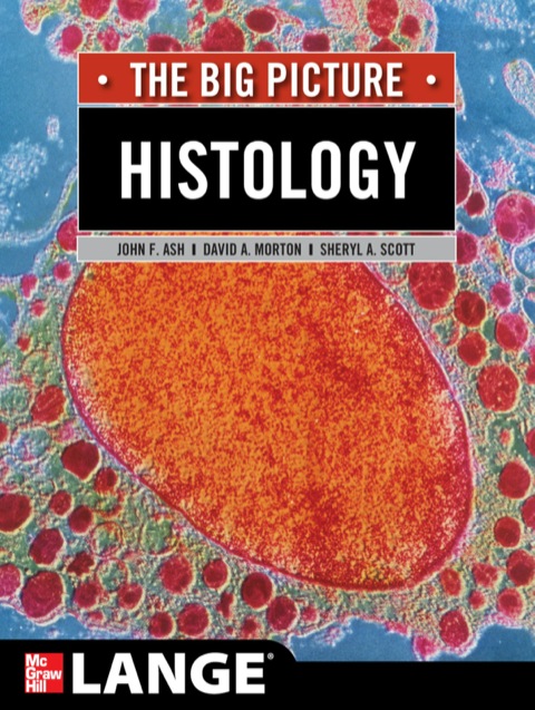 Cover image for book Histology: The Big Picture