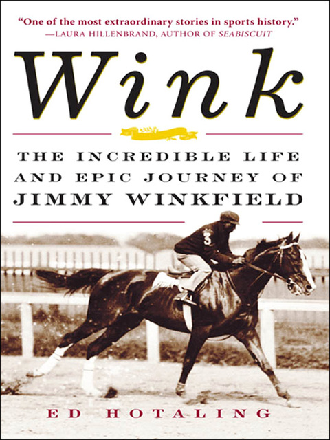 Cover image for book Wink