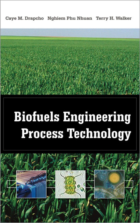 Cover image for book Biofuels Engineering Process Technology
