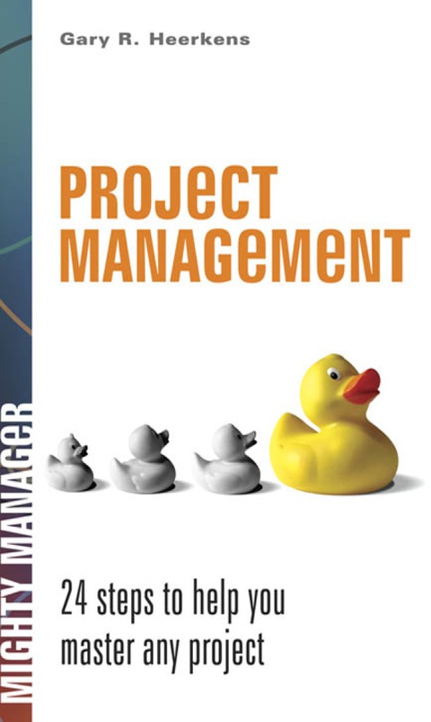 Cover image for book Project Management: 24 Steps to Help You Master Any Project