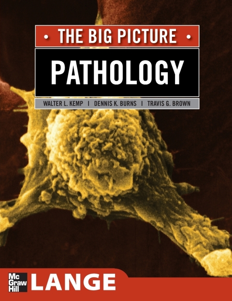 Cover image for book Pathology: The Big Picture