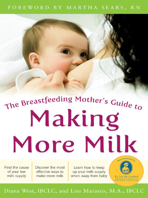 Cover image for book The Breastfeeding Mother's Guide to Making More Milk: Foreword by Martha Sears, RN