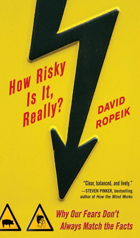Cover image for book How Risky Is It, Really?: Why Our Fears Don't Always Match the Facts