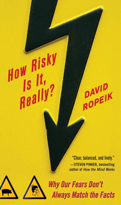 Cover image for book How Risky Is It, Really?: Why Our Fears Don't Always Match the Facts