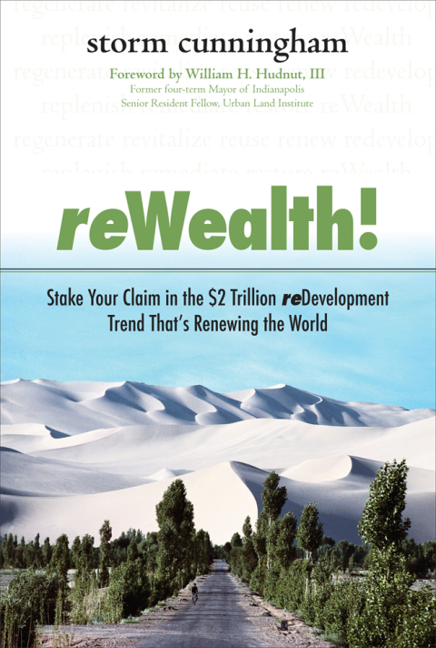 Cover image for book ReWealth!: Stake Your Claim in the $2 Trillion Development Trend That's Renewing the World