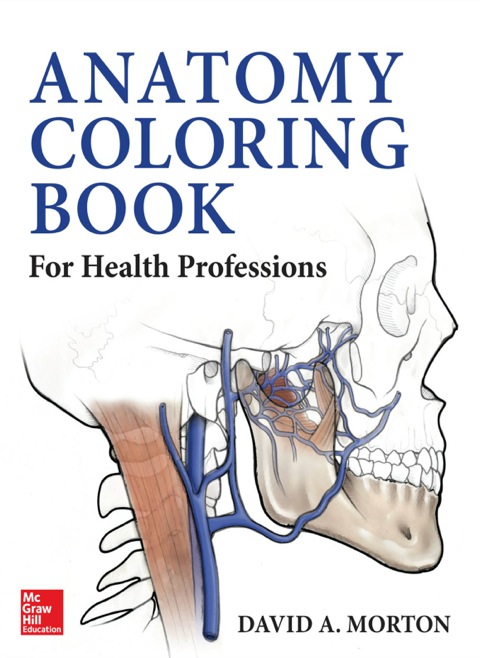 Cover image for book Anatomy Coloring Book for Health Professions