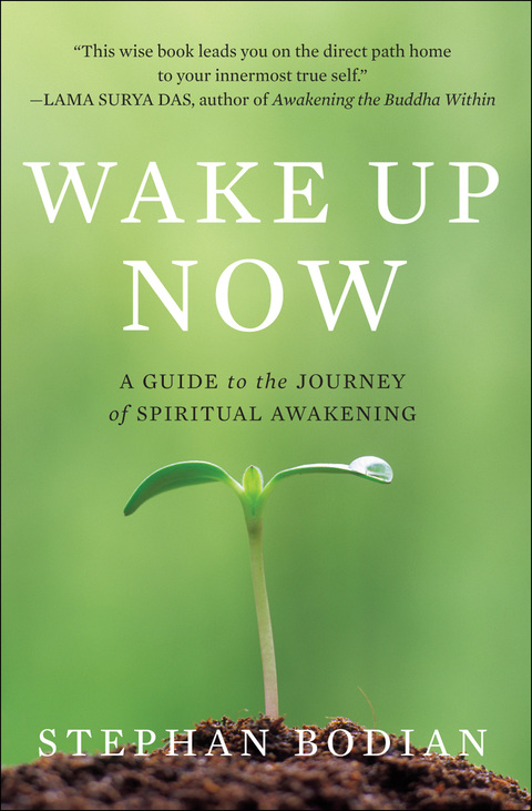 Cover image for book Wake Up Now