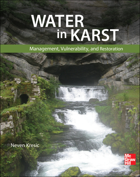 Cover image for book Water in Karst