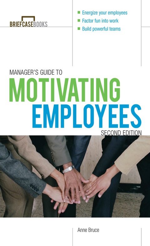 Cover image for book Manager's Guide to Motivating Employees