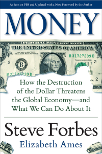 Imagen de portada: Money: How the Destruction of the Dollar Threatens the Global Economy – and What We Can Do About It 1st edition 9780071823708