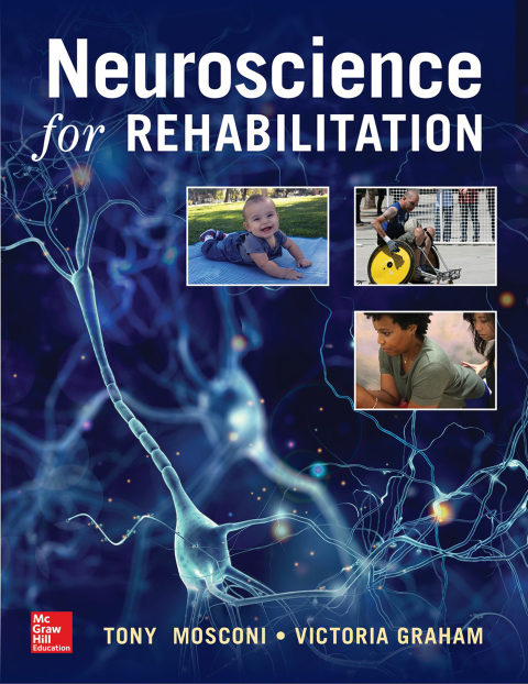 Cover image for book Neuroscience for Rehabilitation