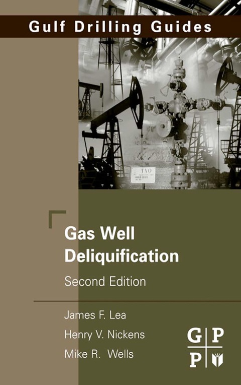 Cover image for book Gas Well Deliquification