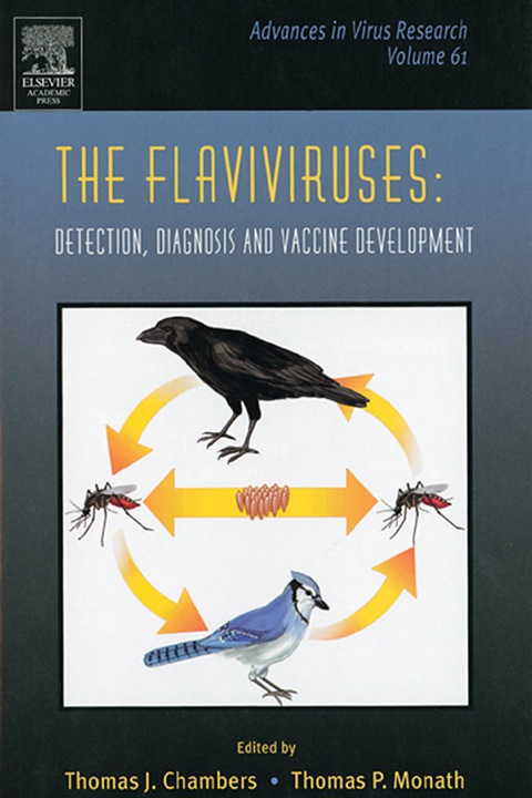 Cover image for book The Flaviviruses: Detection, Diagnosis and Vaccine Development