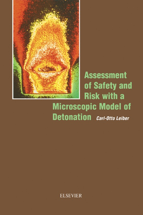 Cover image for book Assessment of Safety and Risk with a Microscopic Model of Detonation