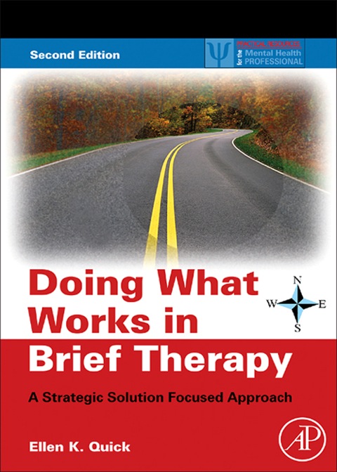 Cover image for book Doing What Works in Brief Therapy