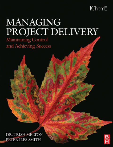 Cover image for book Managing Project Delivery: Maintaining Control and Achieving Success
