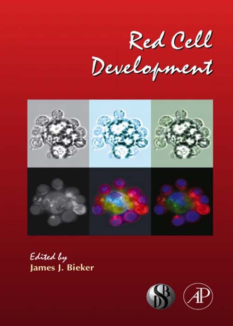 Cover image for book Red Cell Development