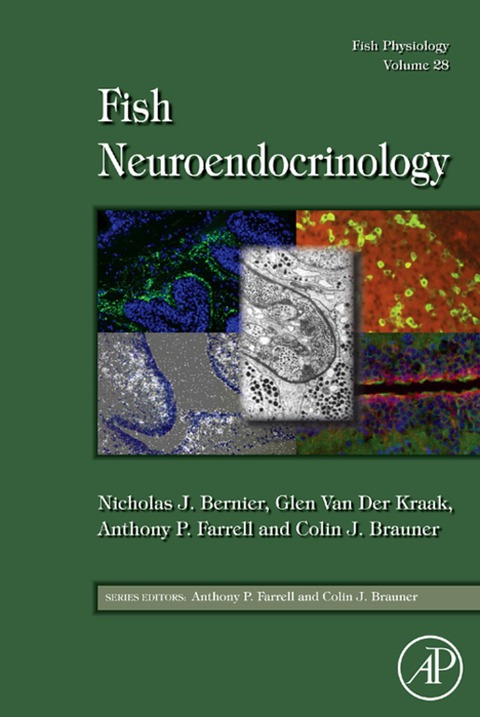 Cover image for book Fish Physiology: Fish Neuroendocrinology