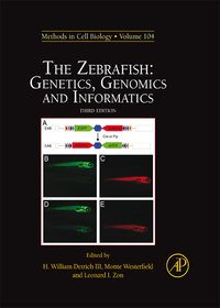 Cover image: The Zebrafish: Genetics, Genomics and Informatics 3rd edition 9780123748140