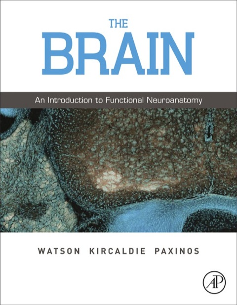Cover image for book The Brain