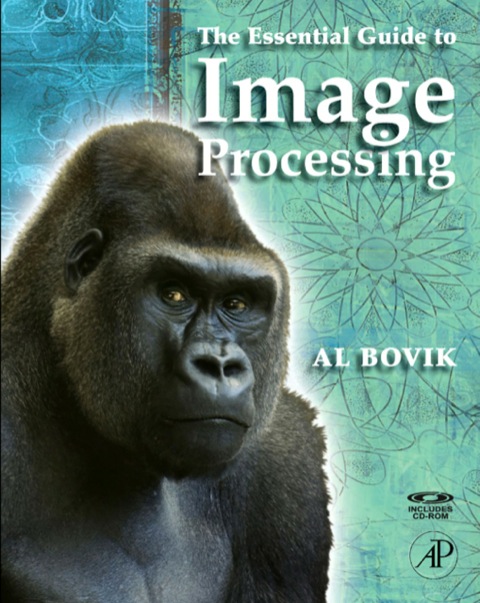 Cover image for book The Essential Guide to Image Processing