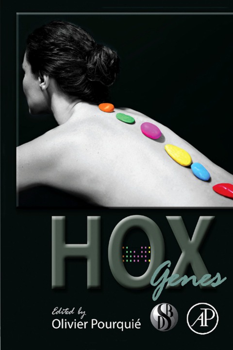 Cover image for book HOX Genes