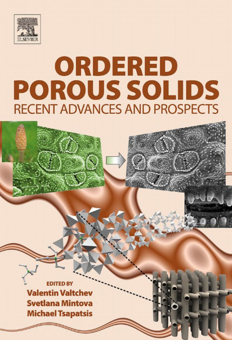 Cover image for book Ordered Porous Solids
