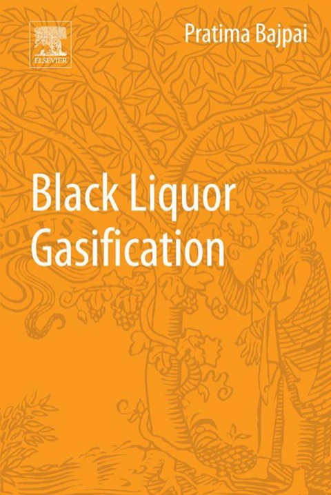 Cover image for book Black Liquor Gasification