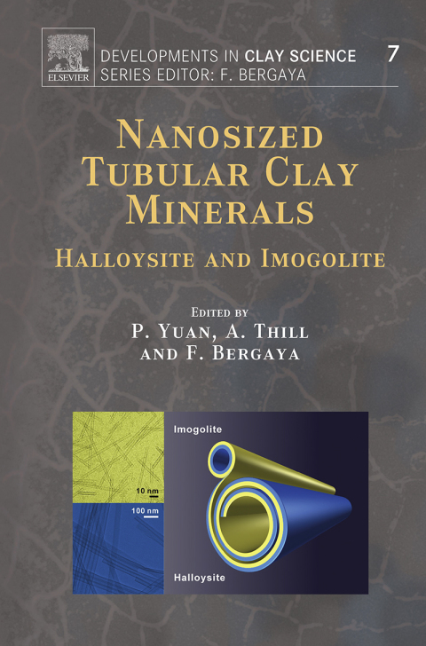 Cover image for book Nanosized Tubular Clay Minerals