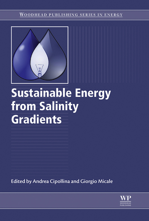 Cover image for book Sustainable Energy from Salinity Gradients