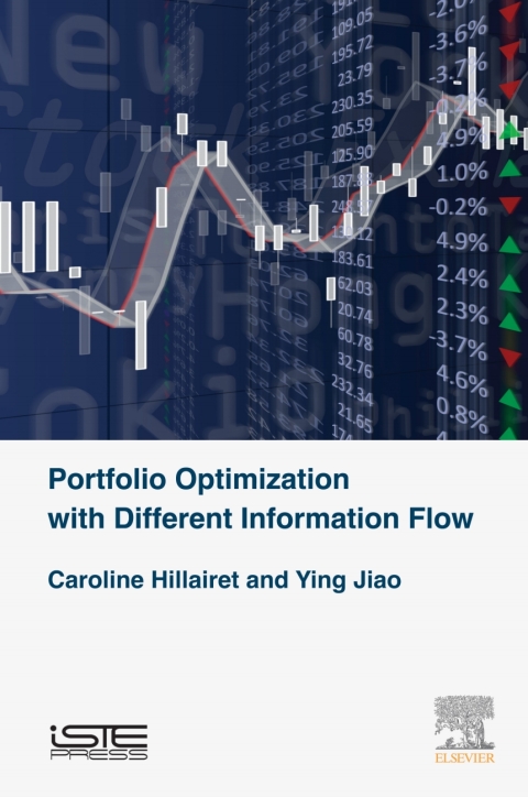 Cover image for book Portfolio Optimization with Different Information Flow
